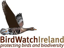 Logo Birdwatch Ireland