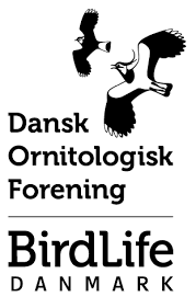 Logo Dansk Ornitologisk Forening