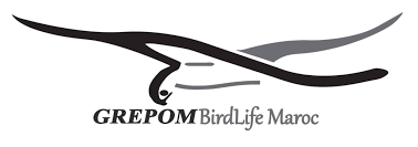 Logo Groupe de Recherche pour la Protection des Oiseaux au Maroc