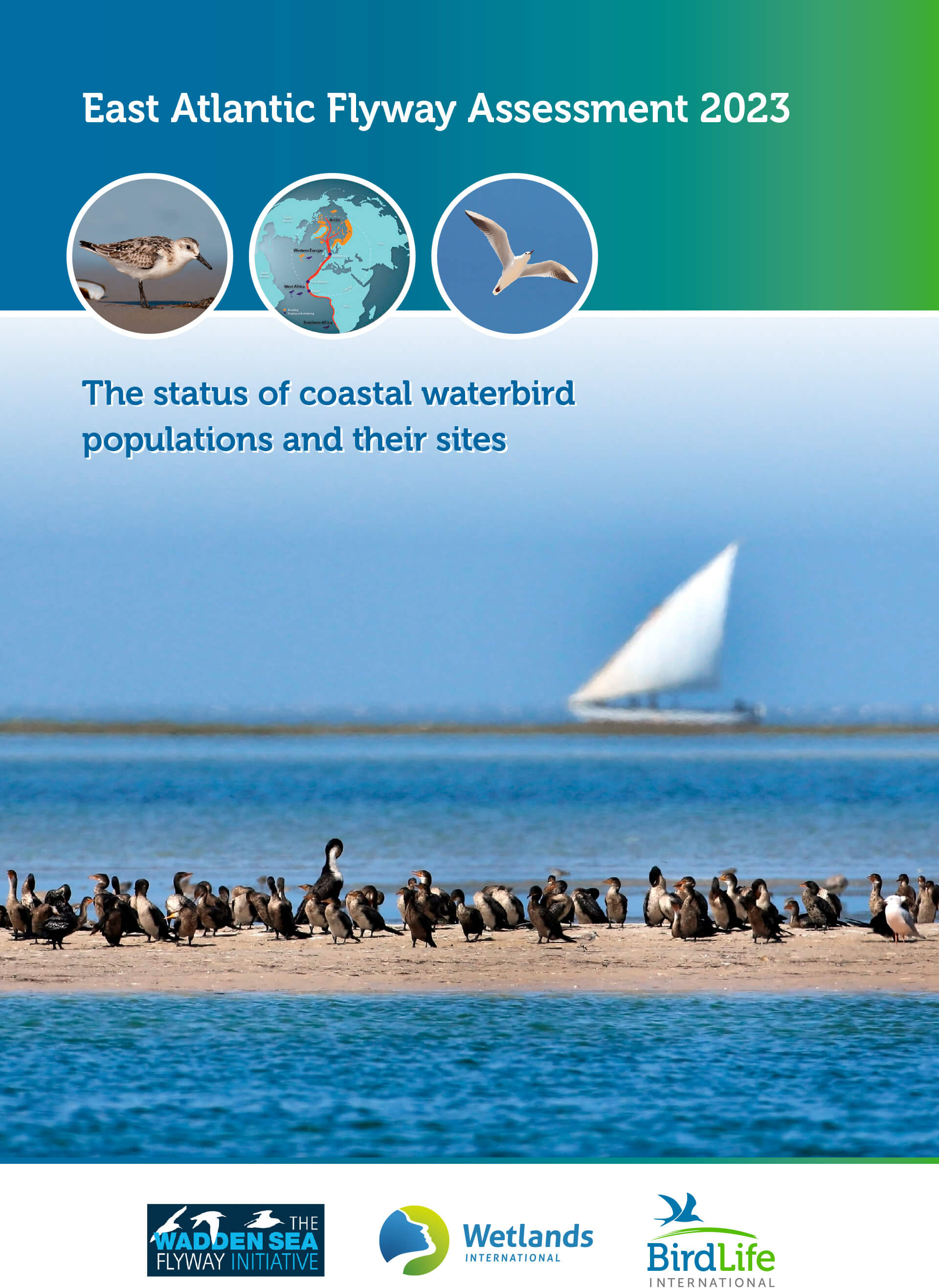  2025_East-Atlantic-Flyway-Asessment-2023-1 (1).jpg 