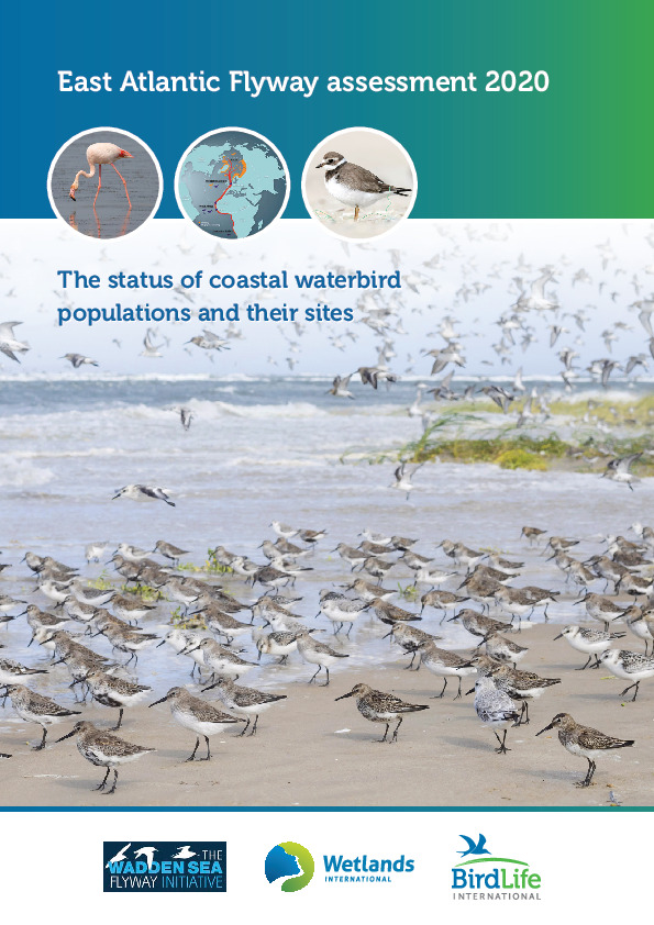 East Atlantic Flyway Assessment report 2020