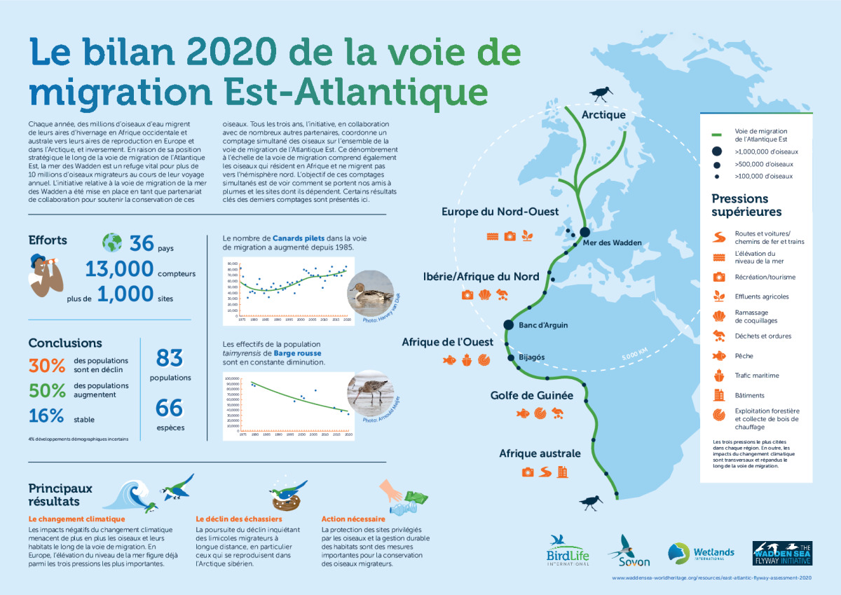 Affiche : Évaluation de la voie migratoire de l'Atlantique Est