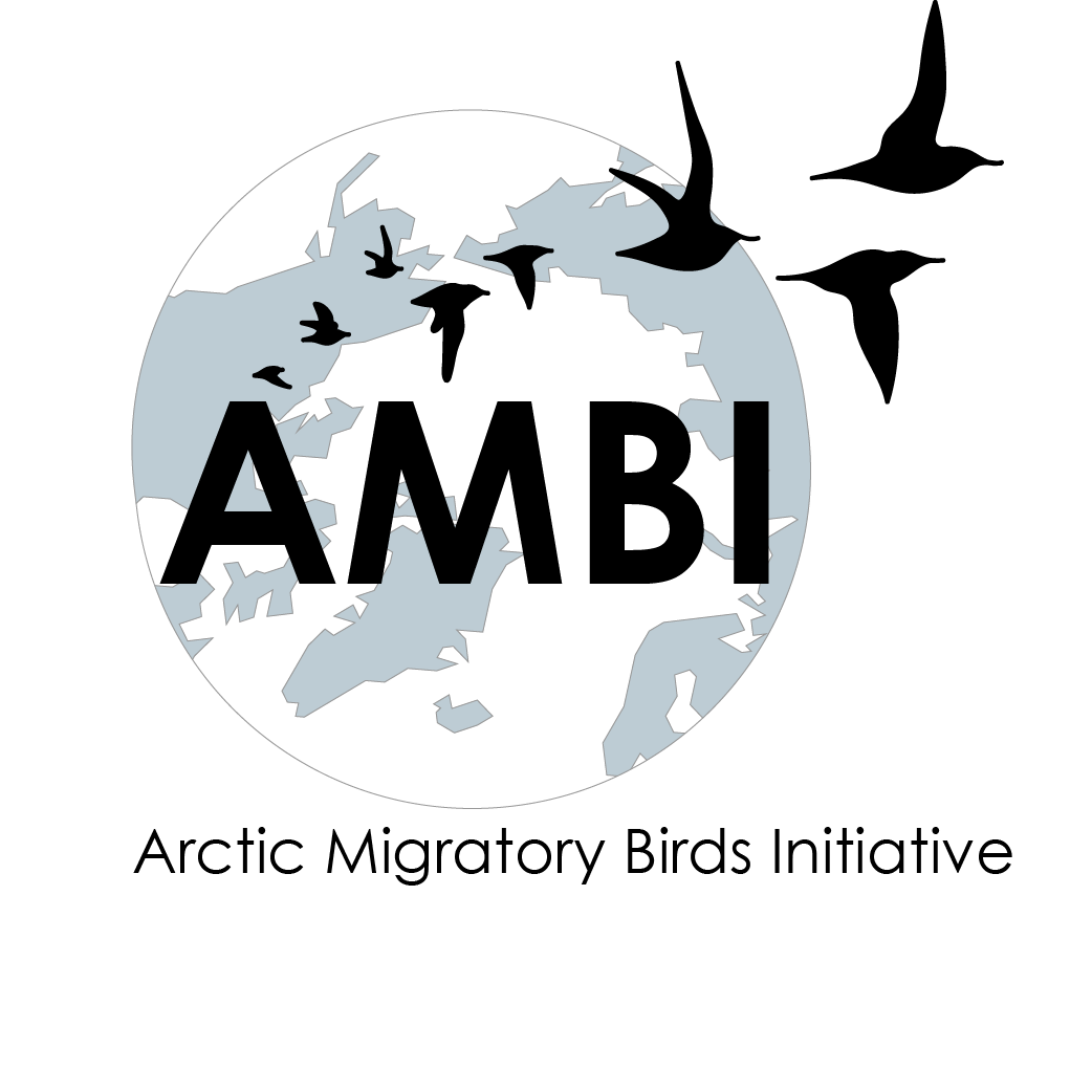 AMBI_Logo