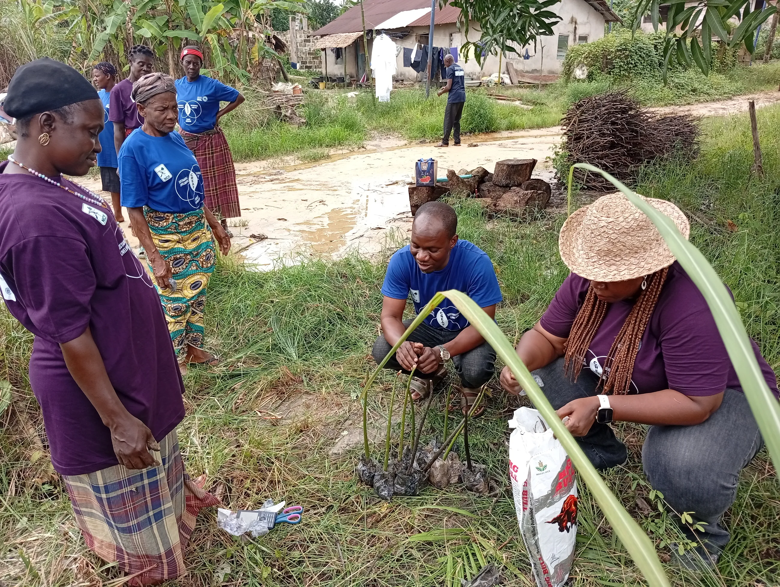 Community members take part in hands-on mangrove propagation during a site-based restoration activity. © NCF