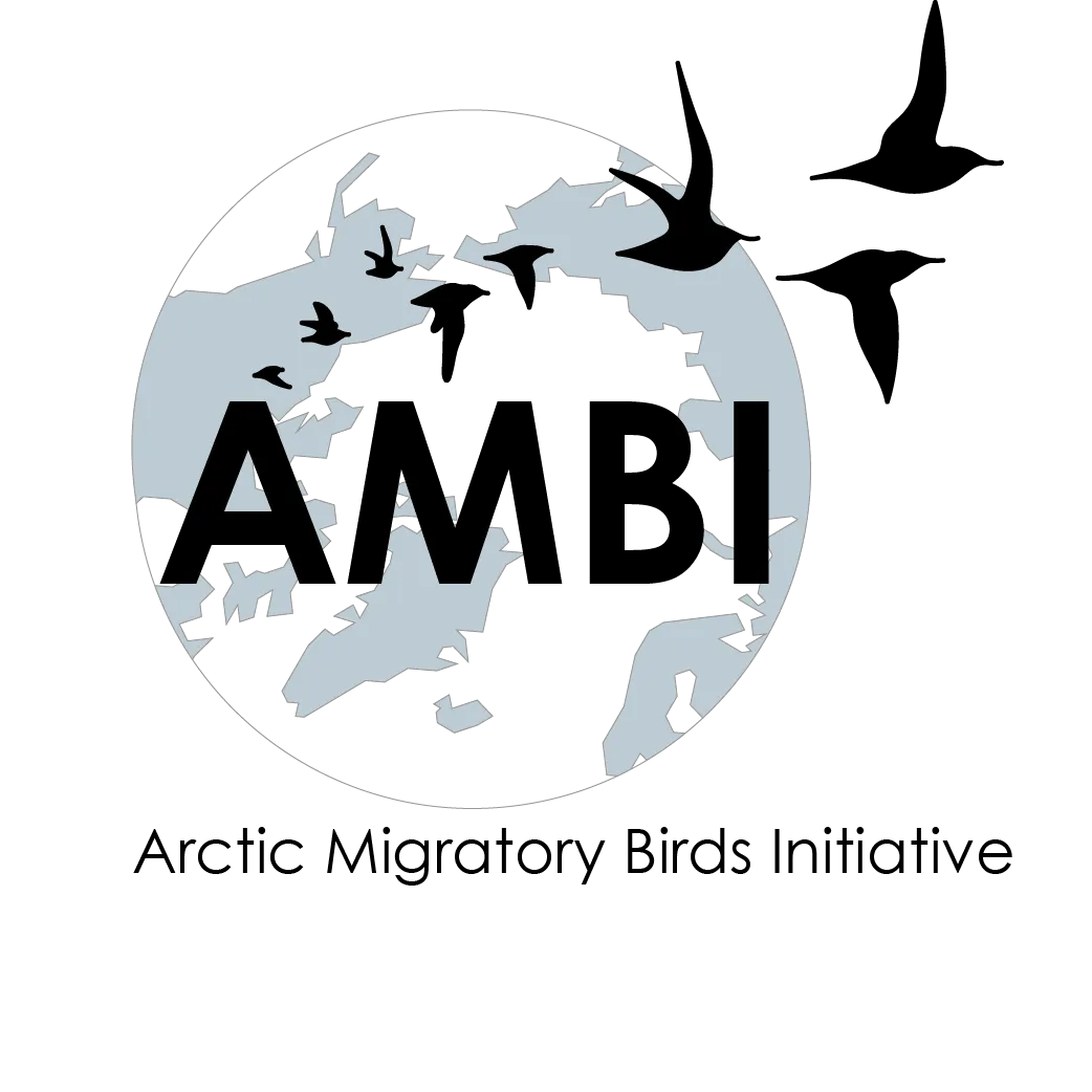 AMBI_Logo