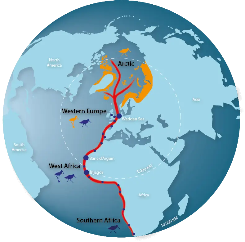 flyway map